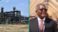 Big support as Dangote moves to build another 650,000bpd refinery, location confirmed