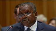 Dangote reveals why cement is expensive in Nigeria