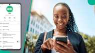 WhatsApp ends secret online status with new green dot feature for Android users