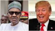 US raises alarm over Nigeria's election, reveals what could mar polls as UN says tensions are high