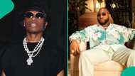 Wizkid says he's the biggest, claims he dedicated song on album to Davido, fans kick: “Keep crying”