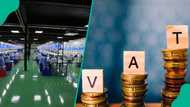 Nigeria’s manufacturing sector tops VAT revenue with N584.63bn in H1 2025