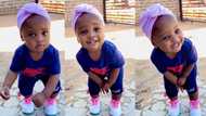 "She is very beautiful and lovely": Baby girl endowed with sparkling teeth smiles to camera, video goes viral