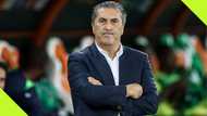 Jose Peseiro gives 2 reasons for quitting Super Eagles coaching role