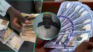 BDCs explains role of politicians, wealthy Nigerians in naira fall as exchange rate hits N860/$ at P2P market