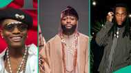 Wizkid tops global digital artist ranking, defeats Burna Boy, Davido, others: “Next year dey there”