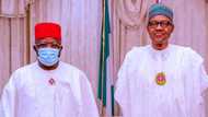 Don't insult Buhari, it's foolishness - APC governor tells southeast youths