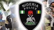 Bauchi: 'Yan sanda sun yi ram da mutum 352 da ake zargi da garkuwa da mutane