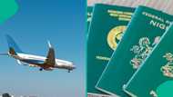 Revoking passport: Senate approves tough penalty for Nigerians jailed abroad