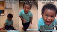 Adorable little boy shouts in excitement as father visits him at daycare, video goes viral