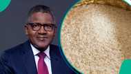 Dangote announces important partnership to increase rice supply