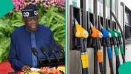 Presidency breaks silence on fuel subsidy as price climbs to N1400 in several states