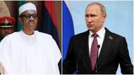 Boko Haram: Buhari zai nemi karin sojoji daga wurin Putin na kasar Rasha, inji Jakada