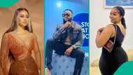 "He's playing their heads": Naija celebs, Toke Makinwa analyse Ozee, Victoria & Onyeka love triangle