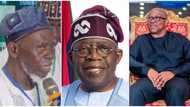 Tinubu: Is Apapa, Abure's fight threat to Peter Obi's anticipated victory in court? Details emerge