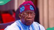 More hardship for Nigerians as Tinubu's FG announces plan to remove electricity subsidy