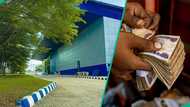 Nigerian company warns Nigerians against fake investment scheme