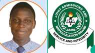 2025 UTME top scorer in Lagos school scores 370 as 15 other students get over 300, results trend