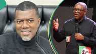 "Labour in vain": Omokri mocks Peter Obi's LP performance as Edo election results trickle in