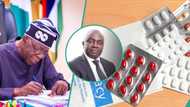 ‘We need more’: Expert praises Tinubu’s decision to remove tax from imported pharmaceutical inputs