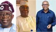 Tinubu, Atiku or Obi? SDP presidential candidate predicts winner of tribunal