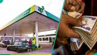 Ardova reacts to reports of workers getting paid N10,000 per month