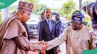 President Bola Tinubu, VP Kashim Shettima told to immediately resign