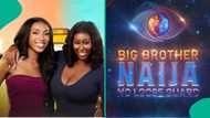 BBNaija S9: Nelly, Anita of Nelita pair win HOH for the 2nd time, “No leave, no transfer”