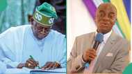 Tinubu approves airstrip for Oyedepo's Winner’s Chapel ‘Canaanland’, video trends