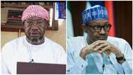 Sheikh Khalid: Buhari's aide finally breaks silence, opens up on what really led to cleric's sack