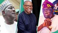 “Tinubu did not win 2023 election”: Ex-SGF Babachir drops bombshell, discloses alleged winner