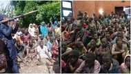 Nigerians raise alarm as daring bandits abduct travellers, secondary school students