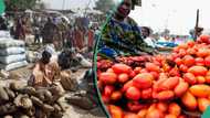 Data shows 10 Nigerian states with cheapest, highest food prices as inflation slows