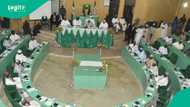 Kano assembly passes bill that makes Hausa main language for teaching in public schools
