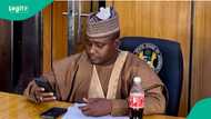 'Yan bindiga sun sace babban dan siyasa, matarsa da 'ya'yansa a Zamfara