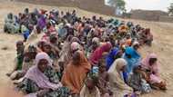 Boko Haram: Sojin Najeriya sun ragargaza 'yan ta'adda 20, sun kwato mutum 241(Hotuna)