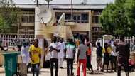 10 safety precautions issued to University of Maiduguri students as schools resume