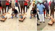 "He's creative": Skilled little boy constructs crane, uses it to lift objects in public, his video goes viral