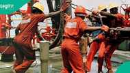 Nigeria becomes Africa’s oil investor magnet as NUPRC reforms, restoring global confidence