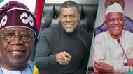 Why El-Rufai missed out on Tinubu’s ministerial appointment, Reno Omokri explains