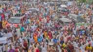 Rabiu Kwankwaso bai cire ran hada-kai da Peter Obi ba, duk da 'Yan hana ruwa gudu
