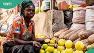 Prices of bread, other food Items to crash as N96.3 billion worth of Maize, Wheat arrive in Nigeria