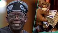 APC-led govt giving N250,000 grant to all Nigerians? Fact emerges