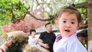 Top famous Chinese girl names and their meanings
