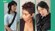 30 gorgeous short wolf cut hairstyles that are the in thing