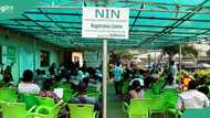 How to apply for new NIMC card, other details about multipurpose ID