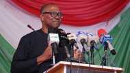 Alleged treason: "I’m under pressure to leave Nigeria," Peter Obi raises alarm