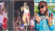Davido steps out amid Anita's saga, performs Unavailable as he puts his middle finger in air to all rumours