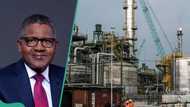 “This must be done”: FG gives order to oil companies that refuse to sell crude to Dangote