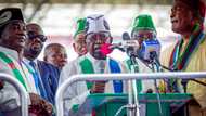 2023 presidency: APC chieftain reveals his position on Tinubu's plan to remove fuel subsidy if he's elected
